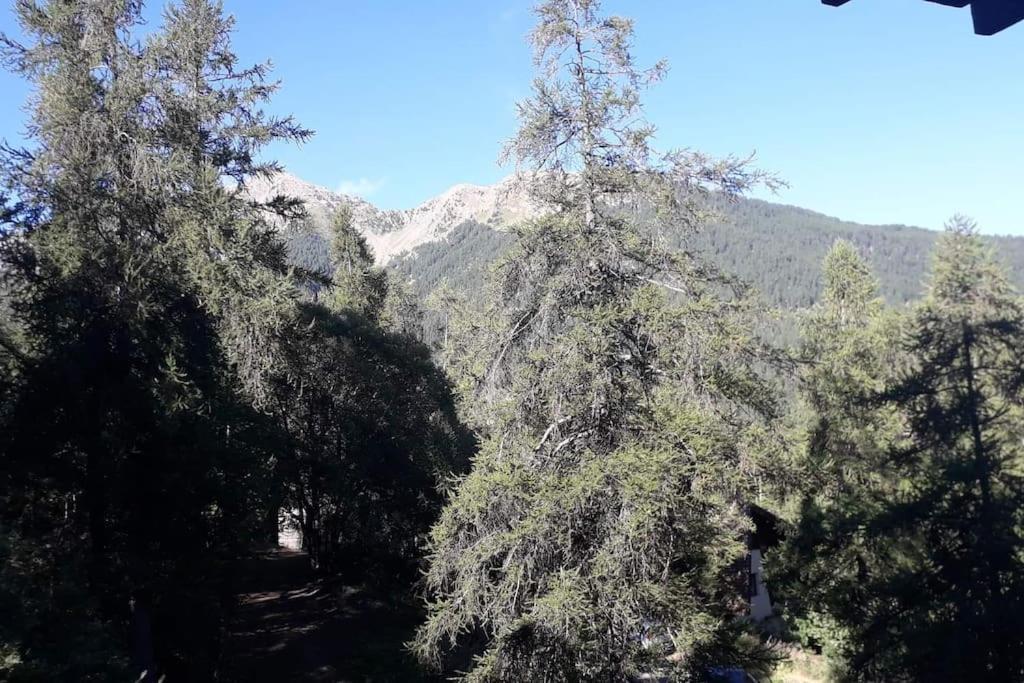 Appartamento Au Petit Conf'Orres Les Orres Esterno foto